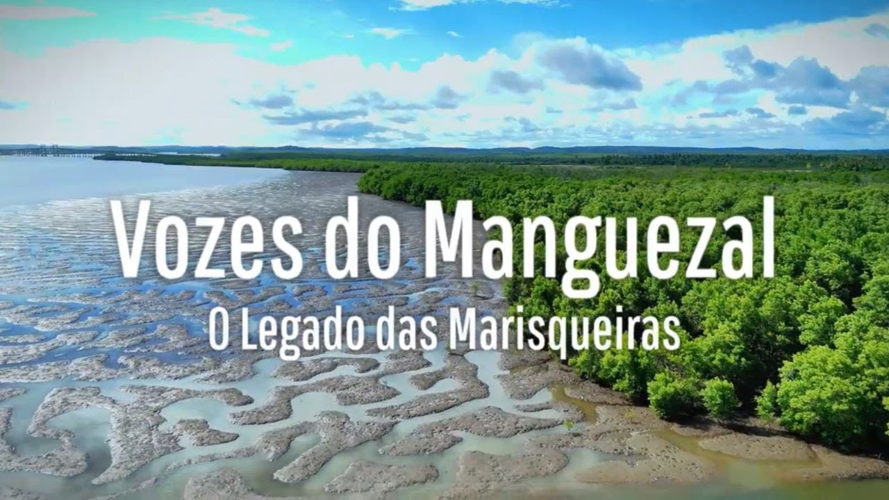 Vozes do Manguezal: O Legado das Marisqueiras - Curta Documentário