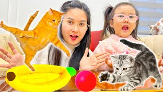 Changcady và Cam Cam đi chợ mua thú cưng, nhận nuôi một con mèo dễ thương