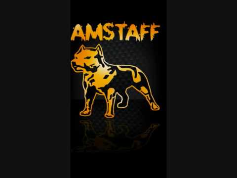 AMSTAFF