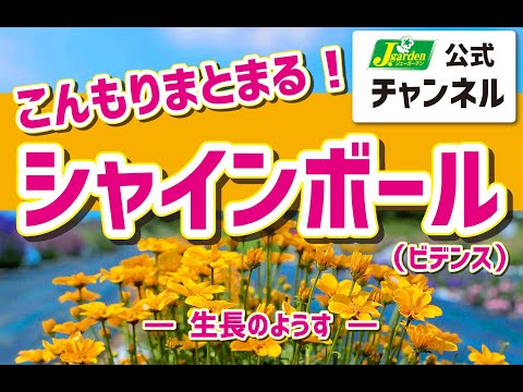 園芸 シモナンテ