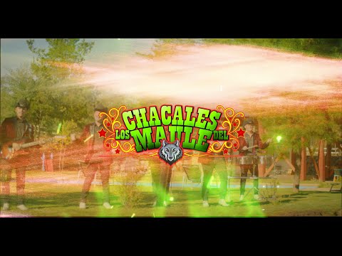 Los Chacales del Maule - Y Qué Hiciste Con mi Amor (Video)