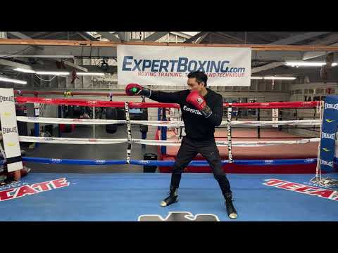 Southpaw Boxing Technique - BASIC JAB