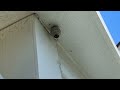 Hornet's Starting to Build Nest on Soffit in Kendall Park, NJ