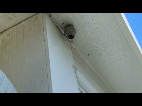 Hornet's Starting to Build Nest on Soffit in Kendall Park, NJ