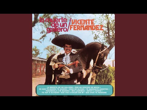 Pasándola A Mi Manera - Vicente Fernandez