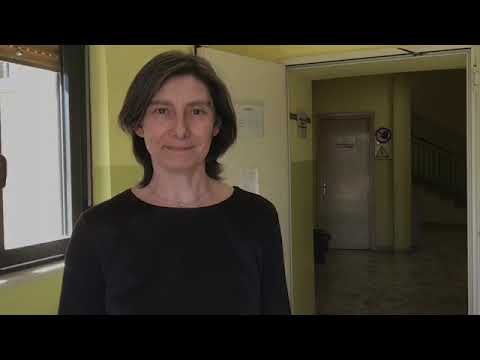 Verso la Scuola Secondaria di Luzzara