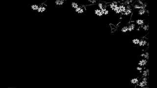 Cover of Paper Doll by Rachel Yamagata