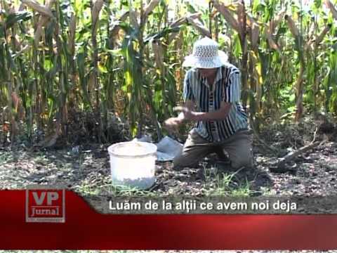 Luăm de alții ce avem noi deja
