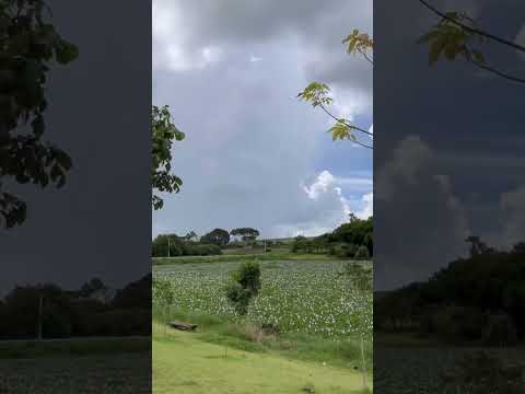 Represa São Sebastião da Amoreira