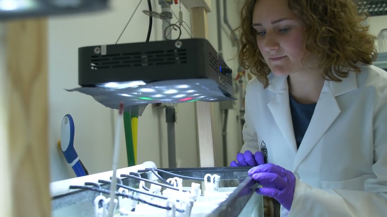 The importance of marine biology research | Harnessing Science, Helping the Planet