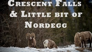 Crescent Falls and a little bit of Nordegg. - Road Trip 001 - March 13 2017