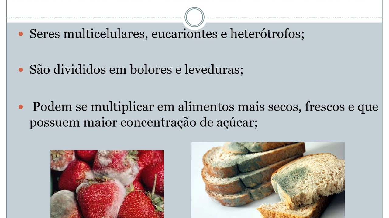 MICROBIOLOGIA APLICADA À NUTRIÇÃO