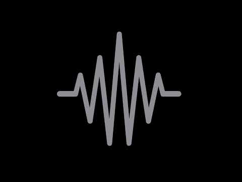 Pashanim - junge ceos 1 [20.11.25]