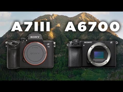Which Camera Should You Buy in 2025? The Sony A6700 vs A7III