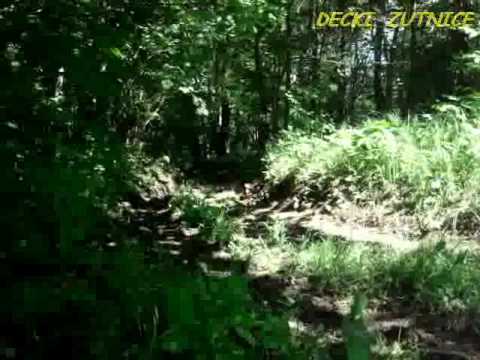 130.DEČKI  ŽUTNICE - Prva prepreka