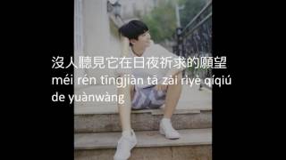 樹讀 - 王俊凯 Tree reading - Wang Jun Kai (TFBOYS) With Pin Yin Lyrics Video