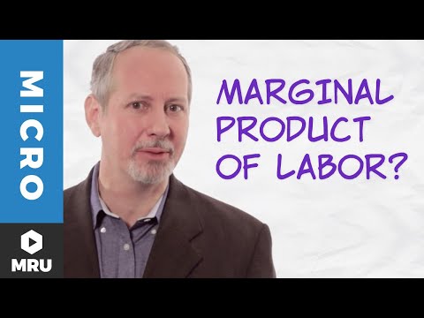 The Marginal Product of Labor