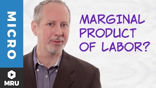 The Marginal Product of Labor