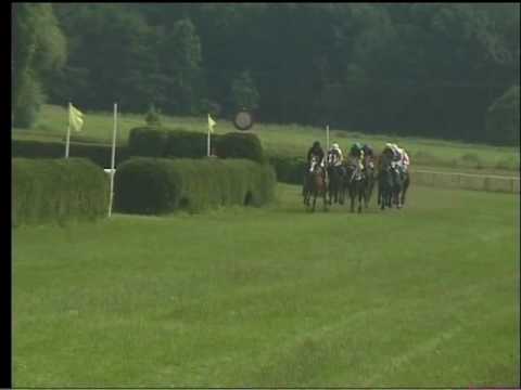 KO, 13. 8. 2016, 1. dostih - CENA STÁJE 3 HEARTS