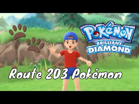 Pokémon Brilliant Diamond & Shining Pearl   Route 203 Pokémon, trainers and items