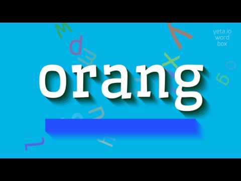 How to say "orang"! (High Quality Voices)