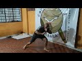 CAPOEIRA TREINO AVANÇADO DE FINTA E GOLPES