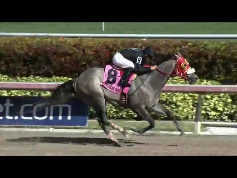 The Week That Was: 1/20/16