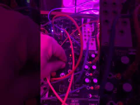 NLC Nonlinearcircuits TINKLE 2024 - Black image 4