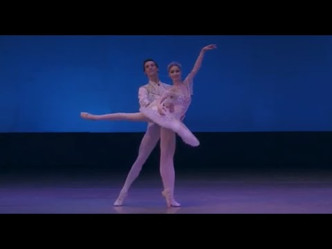 「眠れる森の美女」の DNS – DoH に王子が登場