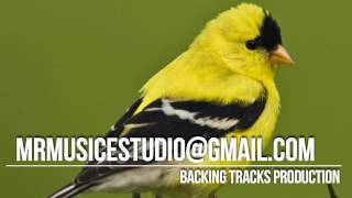 Lo que traigo es Salsa - Pirulo y la tribu - Pista Instrumental Backing Track