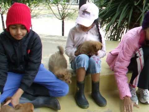 Ben Joseph D'Souza Sunbury Farm