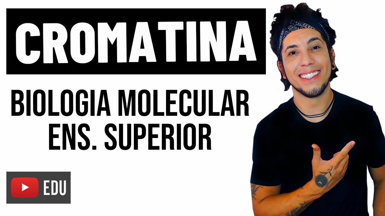 CROMATINA DE CÉLULAS EUCARIONTES - Aula de Biologia │BIOLOGIA MOLECULAR PARA ENSINO SUPEIROR