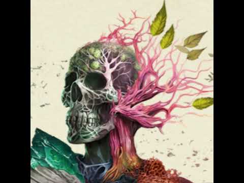 Ep. #106: "History of Eora" Anthology, Pt. 2: Dyrwood-related Tomes (Vols. 2 & 3)