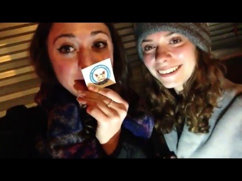 Découverte d'un bar à chats !