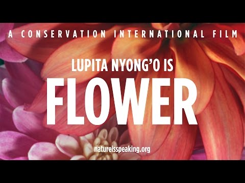Nature Is Speaking: Lupita Nyong'o adalah Bunga | Conservation International (CI)