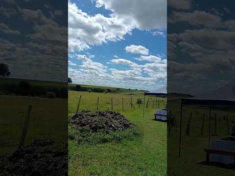 Camino a Tiatucura 2a. edición