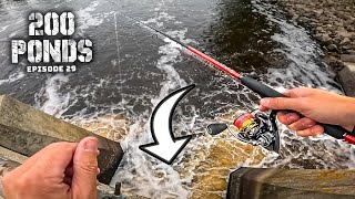Bank Fishing HERE For Summer Bass? (200 Ponds Ep. 29)