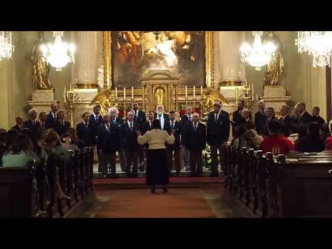 Sing'n'Joy Vienna 2018 - Friendship concert - Saaremaa Meeskoor SÜM (Estonia)