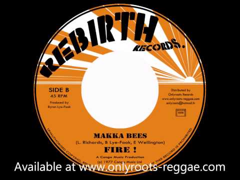 Makka Bees - Nation Fiddler