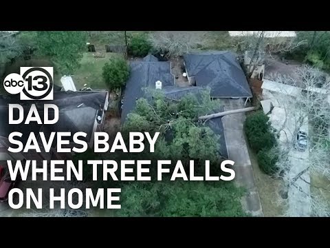 Father rushes to protect baby as tree falls on home