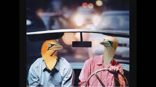 They Might Be Gannets – Fingertips (2006)