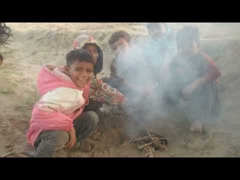 caminhada matinal na vida da aldeia