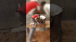 9 May 2025 Mission Plant Birds Save Birds