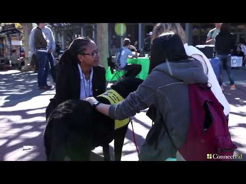 Day at Work Health Educator