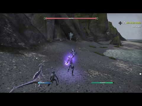 ESO: The summoner StamSorc I built.