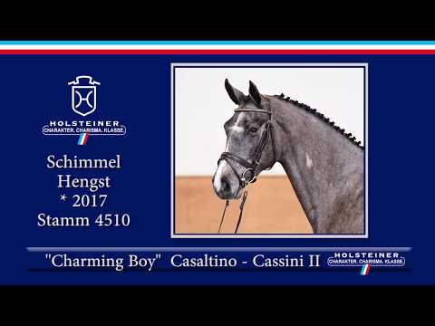 Holsteiner Frühjahrsauktion 2020 - Nr. 07 Charming Boy v. Casaltino - Cassini II