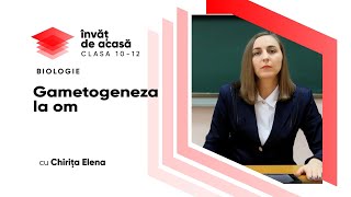 "Gametogeneza la om"