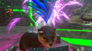 ARK: Survival Evolved　カワウソ可愛い