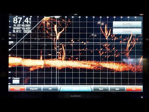 Realtime Fishing with PanOptix LiveScope Sonar from Garmin: ICAST 2018