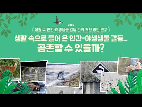 [자연환경] 인간과 야생생물의 생활공간이 점점 더 가까워지고 있다